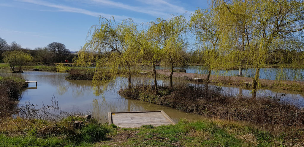 the willows pool