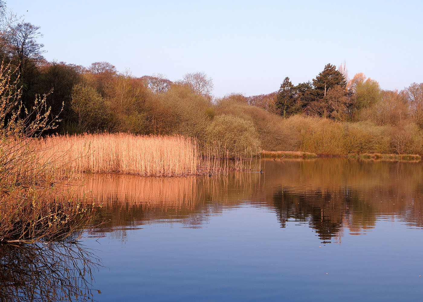 Chard Reservoir