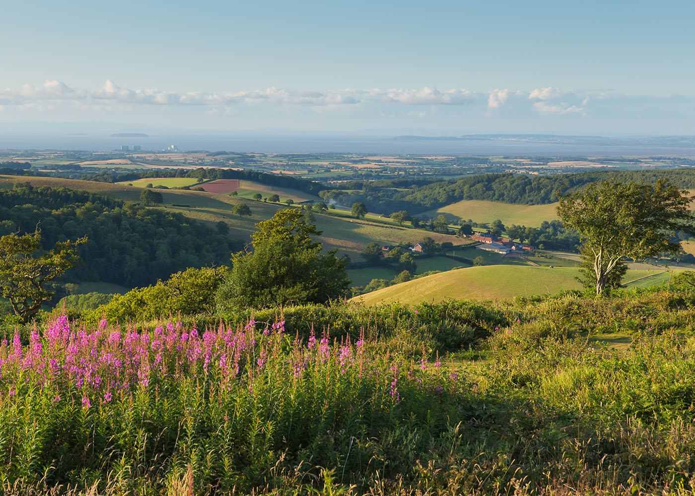 Quantock Hills